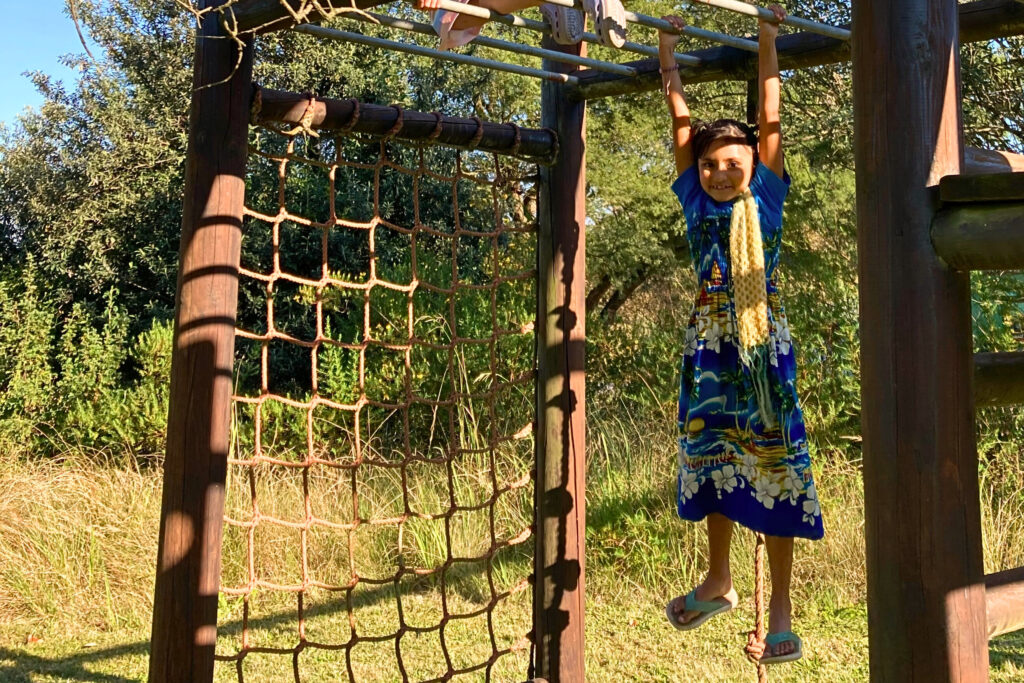 Jungle Gym for Kiddies